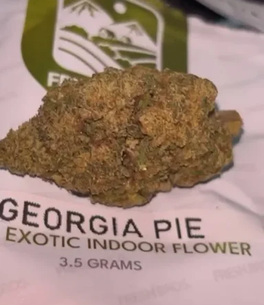 Georgia Pie Vex Entry